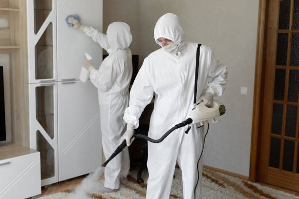 Best Mold Removal for HVAC Installations  in USA